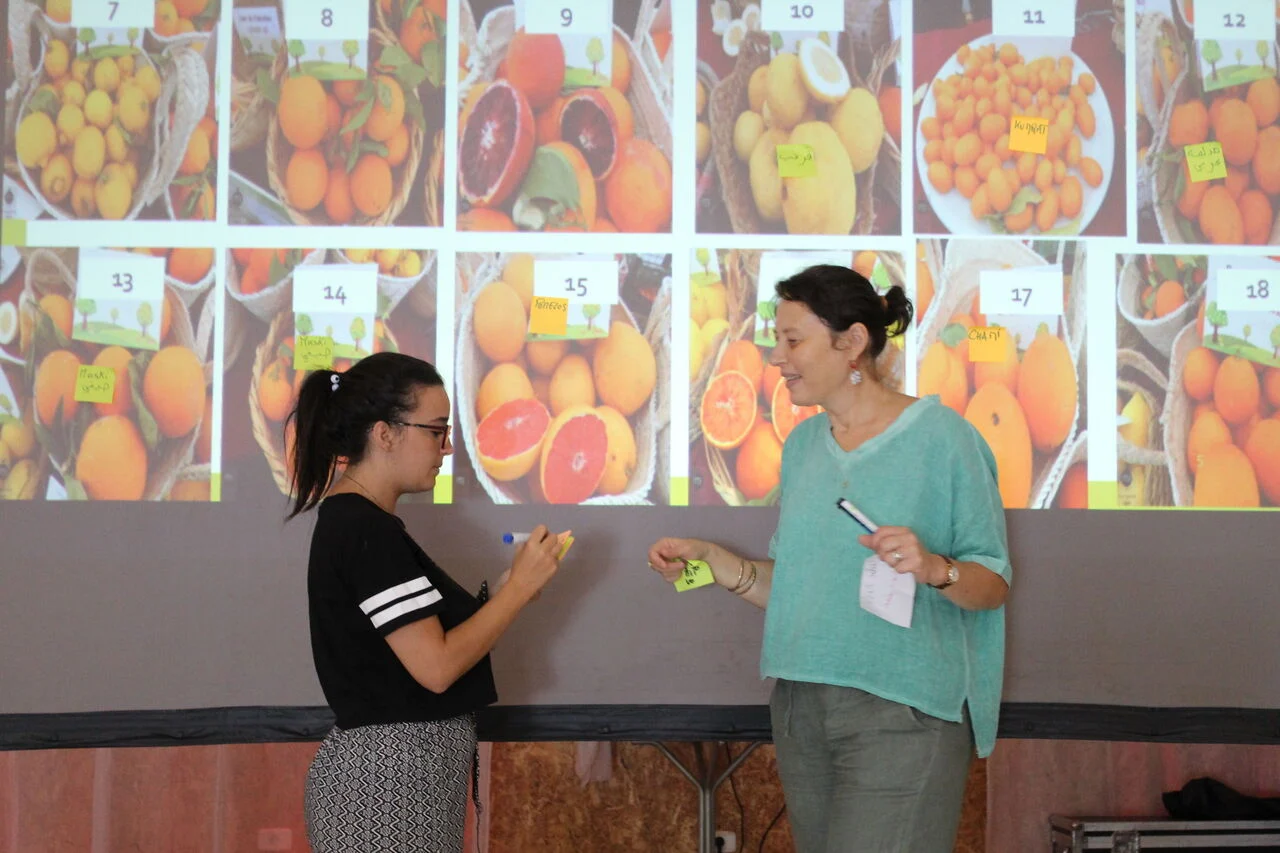 De gauche à droite : Amina Béji-Becheur, enseignant-chercheur à l'IRG ; Asma Shili, chargée de communication ONU-Habitat Tunis.